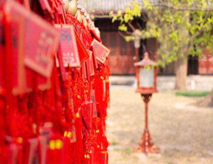 什么是害太岁 什么是害太岁