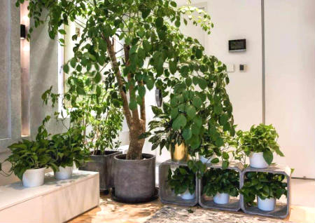 最旺入门玄关 最旺入门玄关