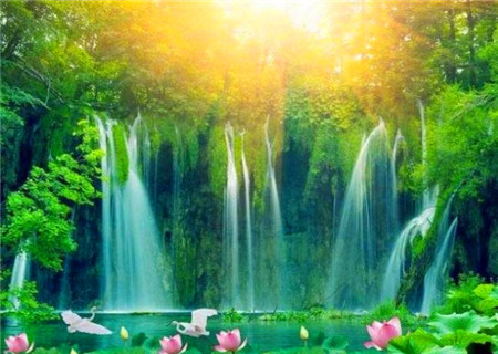 八字富贵格局之曲直仁寿格 八字富贵格局之曲直仁寿格