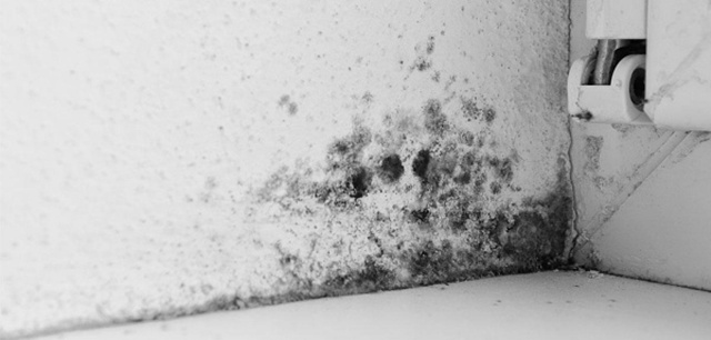 墙面发霉需要注意什么问题? 墙面发霉需要注意什么问题?