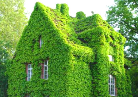 容易犯小人的住宅风水 容易犯小人的住宅风水