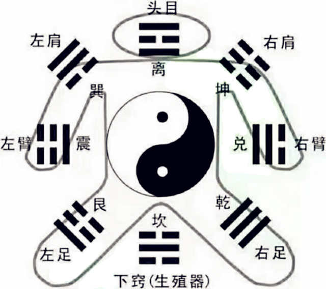 八卦代表人体的部位是什么? 八卦代表人体的部位是什么?
