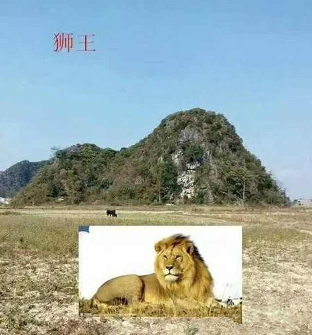 什么是喝形取象? 什么是喝形取象?