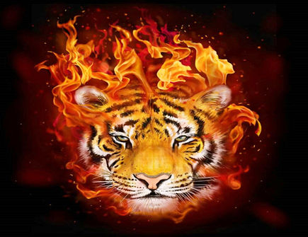 火虎年是哪些年份 火虎年是哪些年份