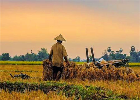 劳碌命的八字特征 劳碌命的八字特征