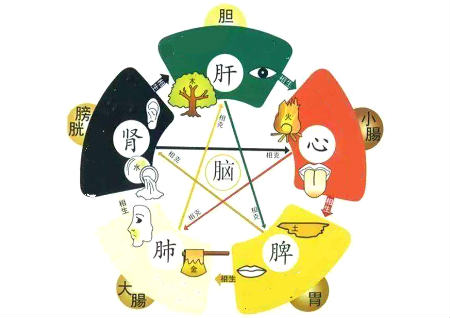 肠胃不好跟家里风水有关系吗 肠胃不好跟家里风水有关系吗