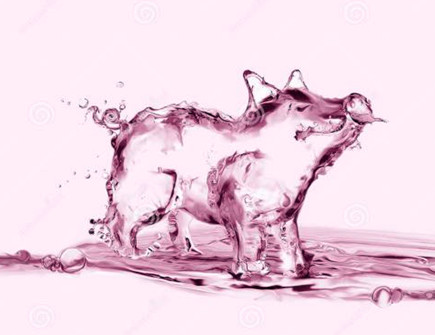 水猪年是哪些年份