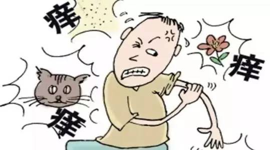 什么样的风水容易得皮肤病? 什么样的风水容易得皮肤病?