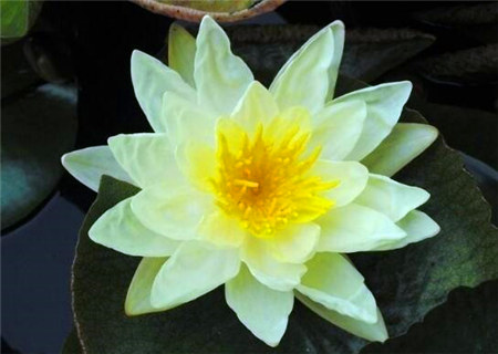 八字五行看性格特点 八字五行看性格特点