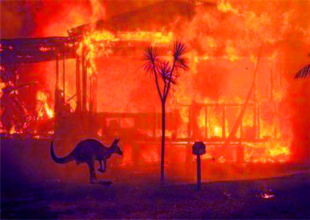 命中多灾多难的八字特征