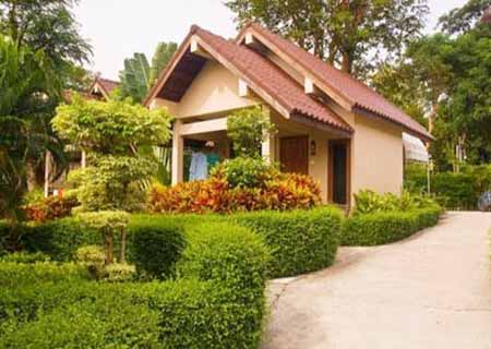 别墅周围种什么树最好 别墅周围种什么树最好