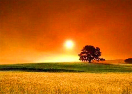 八字火旺之人的性格特点 八字火旺之人的性格特点