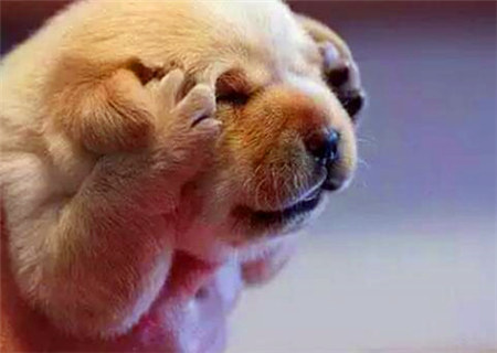 难成大事的八字特征 难成大事的八字特征