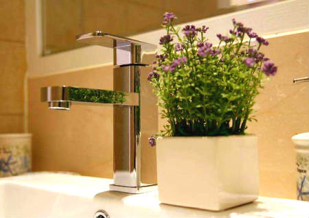 厕所放什么植物风水好