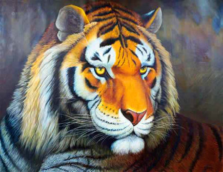 怎么让属虎男喜欢自己