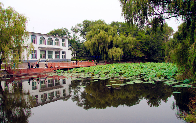 池塘在什么方位修建好? 池塘在什么方位修建好?