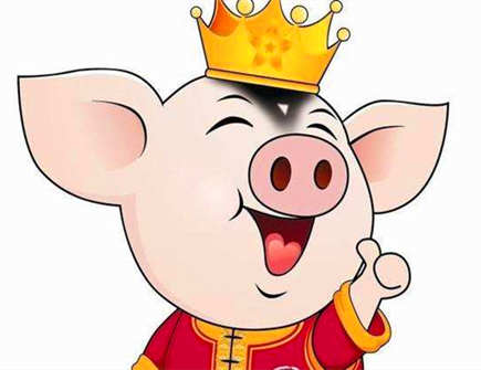 怎么让属猪男喜欢自己