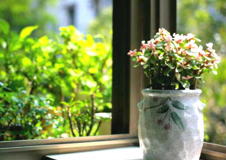 地势低的房子风水好不好