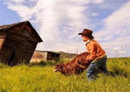 天生聪明的八字特征 天生聪明的八字特征