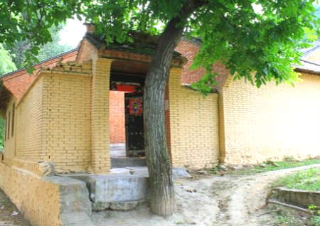 大门前种树的风水禁忌 大门前种树的风水禁忌