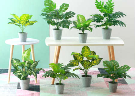 怎样的风水可以旺财运 怎样的风水可以旺财运