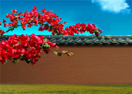 什么样的八字组合易有外遇 什么样的八字组合易有外遇