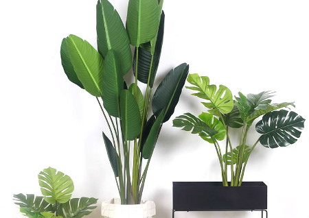 厨房门对着厕所门好吗 厨房门对着厕所门好吗