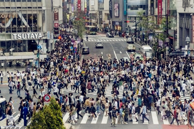 十字路口的店为什么生意好? 十字路口的店为什么生意好?