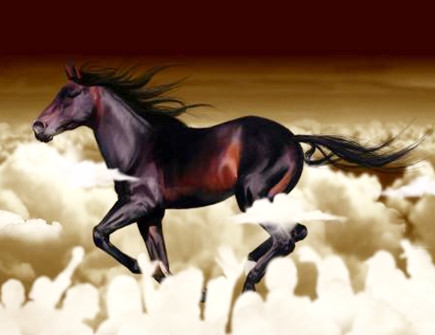 属马人在2021年适合换工作吗