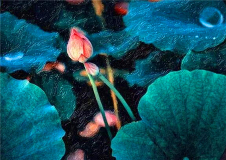 八字不入格局有些什么特征 八字不入格局有些什么特征