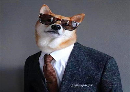 地位高爱面子的八字特征