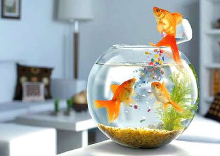 别墅聚财风水布局 别墅聚财风水布局