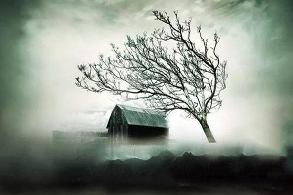 房子阴气重的表现有哪些 房子阴气重的表现有哪些