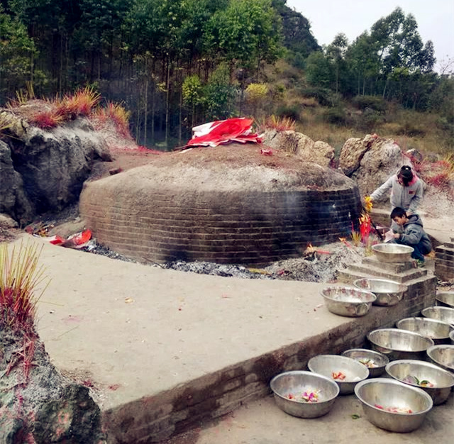 蚂蚁坟真实存在吗？