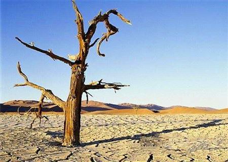 饿木命之人有何特点 饿木命之人有何特点