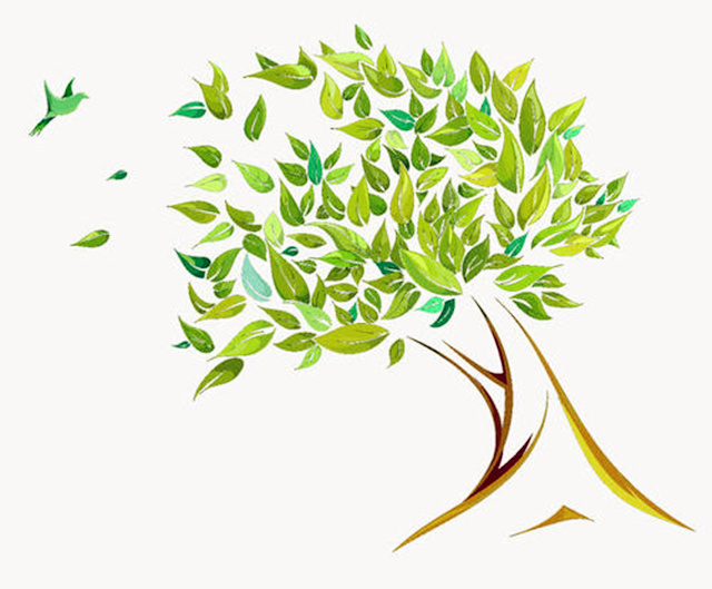 风需要辨别阴阳吗? 风需要辨别阴阳吗?