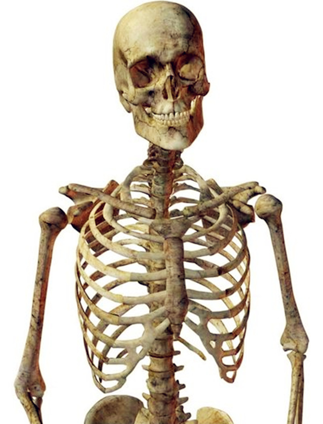 棺材里面骨头歪斜怎么看? 棺材里面骨头歪斜怎么看?