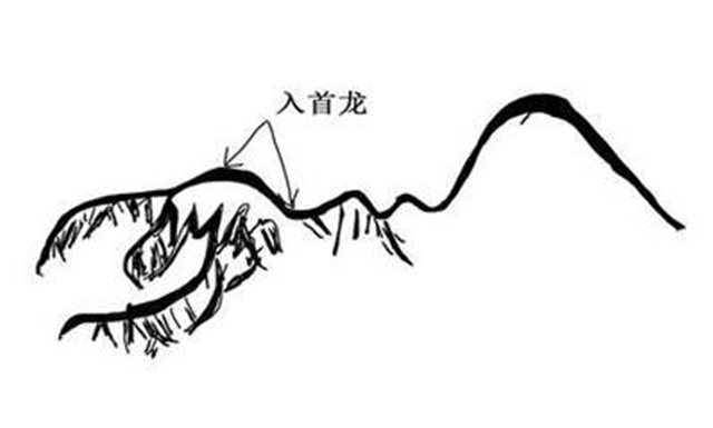 定来龙的具体方法什么样? 定来龙的具体方法什么样?