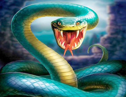 属蛇2021年每月运势 属蛇2021年每月运势