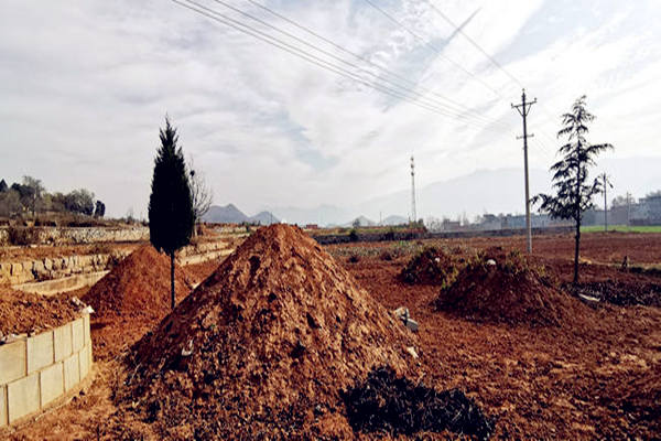 新坟三年后看后人