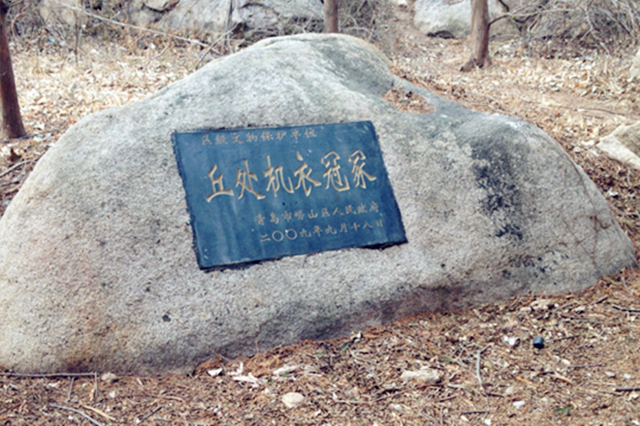 葬生基只用衣服可以吗？