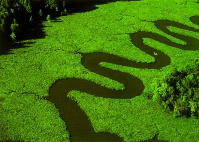 九曲入明堂,当朝出宰相可以解释一下吗? 九曲入明堂,当朝出宰相可以解释一下吗?