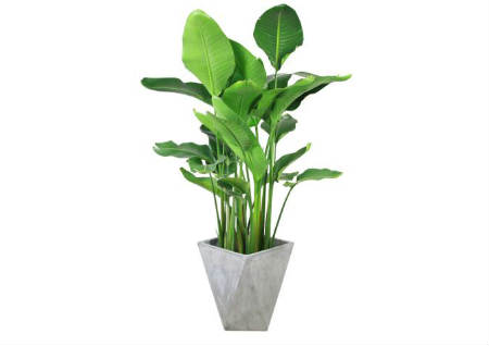 大门对灶如何化解 大门对灶如何化解