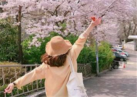 有魅力的女命八字特征 有魅力的女命八字特征