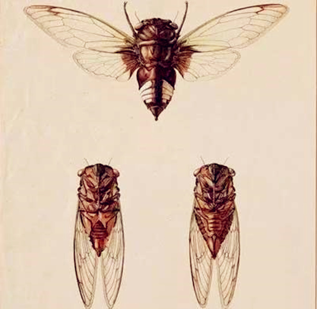 什么是风水上的机理? 什么是风水上的机理?