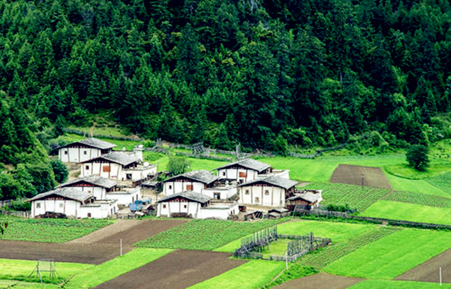 乡村风水应该怎么看？