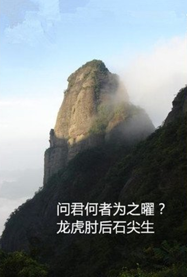 曜星的分类有哪些？