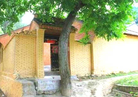 树正对大门对风水好吗 树正对大门对风水好吗