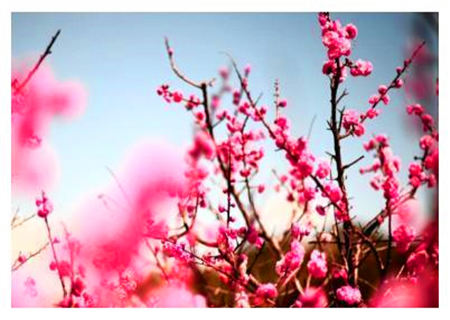 喜庆连连的八字特征 喜庆连连的八字特征