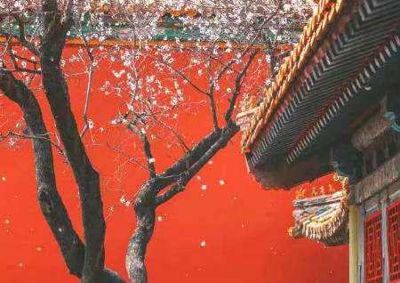 八字不好风水怎么改变命运